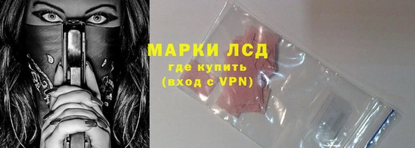 PSILOCYBIN Новодвинск