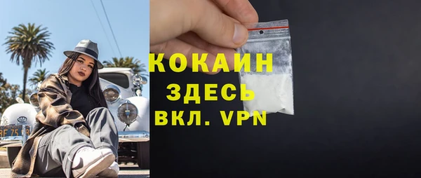 PSILOCYBIN Новодвинск