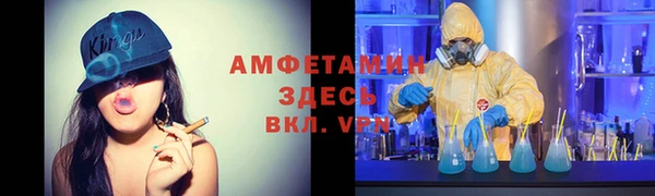 PSILOCYBIN Новодвинск