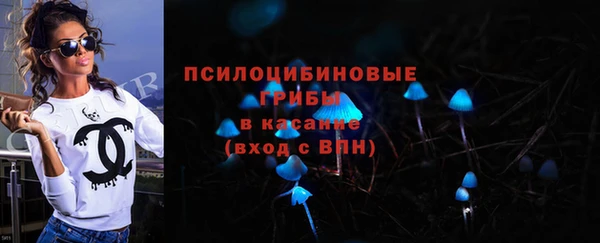 дмт Новокубанск