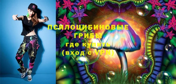 дмт Новокубанск