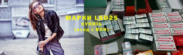 PSILOCYBIN Новодвинск