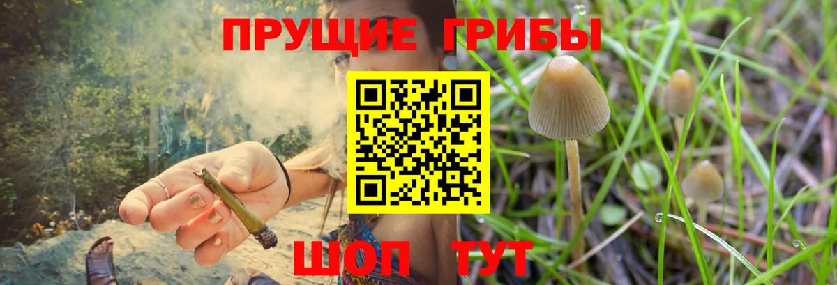 Ярцево  Псилоцибиновые грибы прущие грибы  Вход с VPN  Галлюциногенные грибы Magic Shrooms 